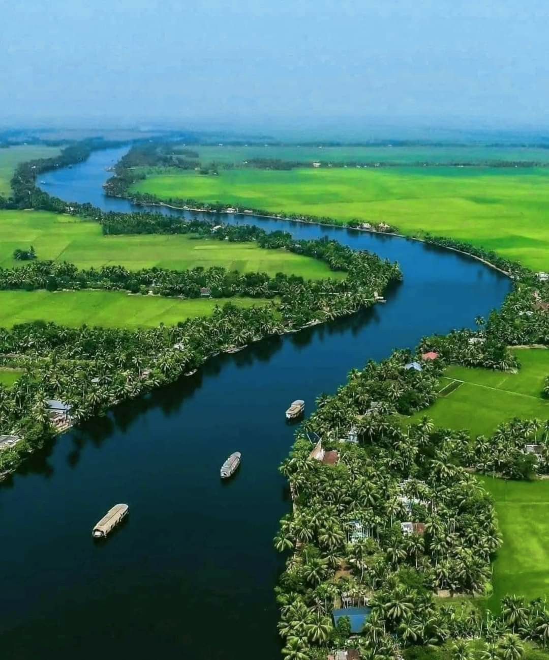 Alleppey backwaters