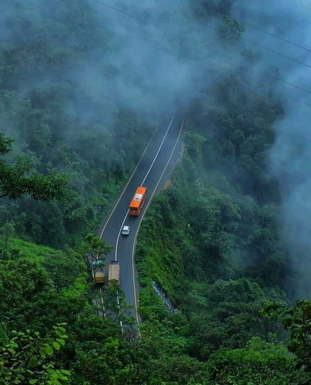 Wayanad greenery
